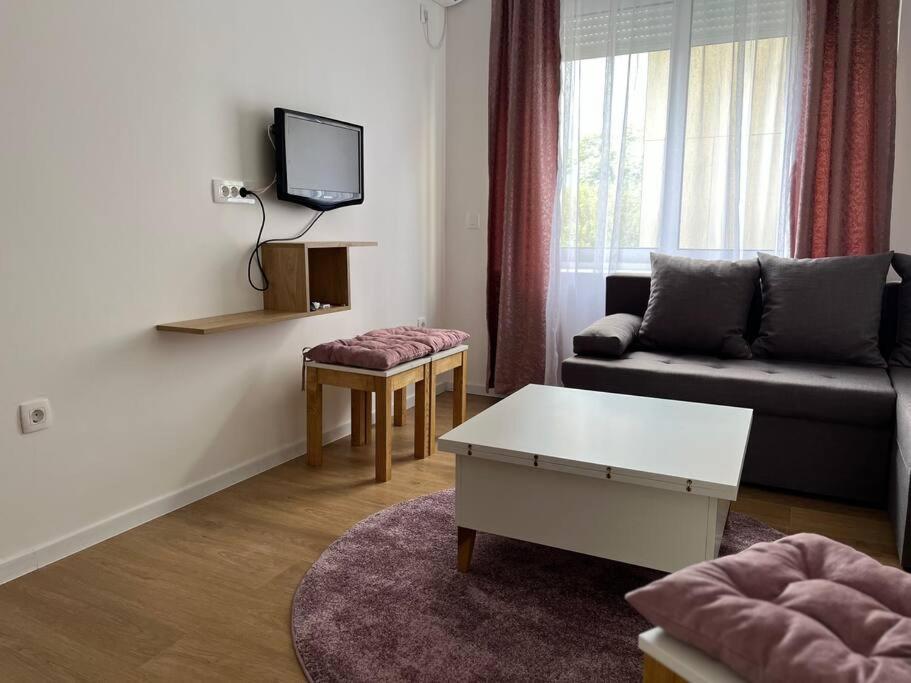 פודגוריצה Apartment Centar מראה חיצוני תמונה