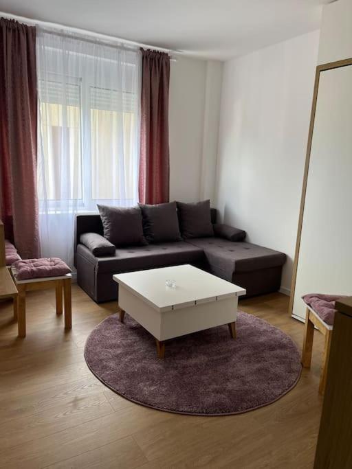 פודגוריצה Apartment Centar מראה חיצוני תמונה