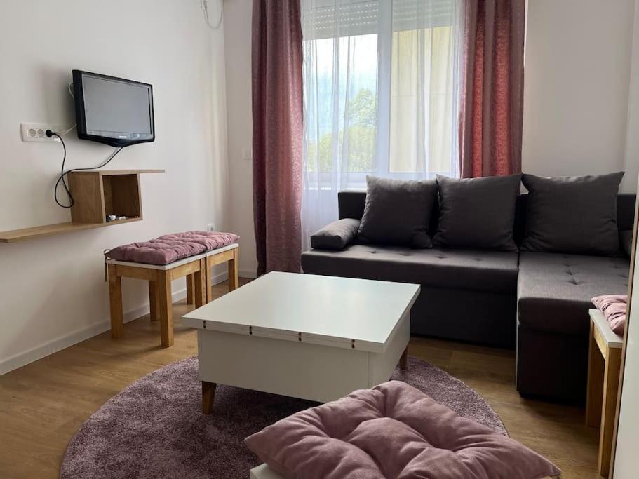 פודגוריצה Apartment Centar מראה חיצוני תמונה