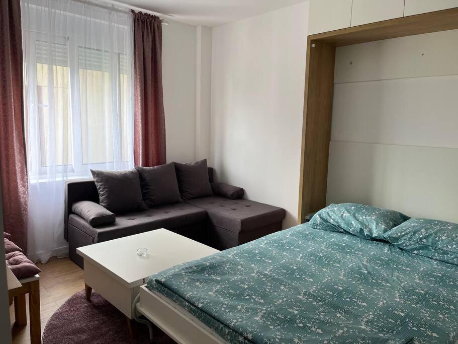 פודגוריצה Apartment Centar מראה חיצוני תמונה