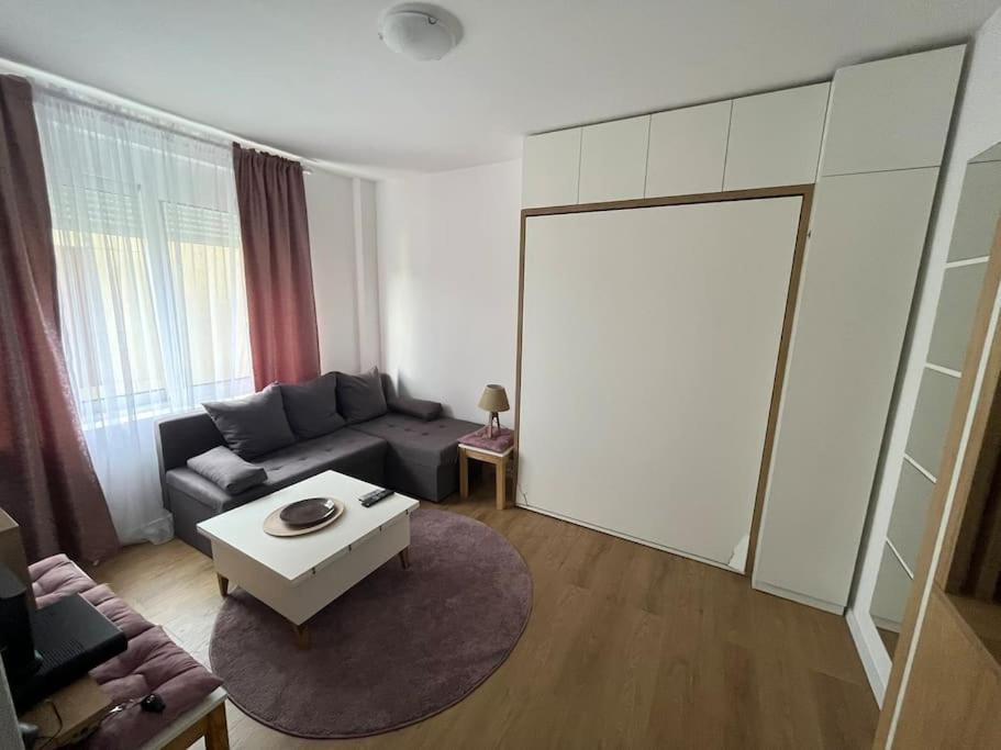 פודגוריצה Apartment Centar מראה חיצוני תמונה