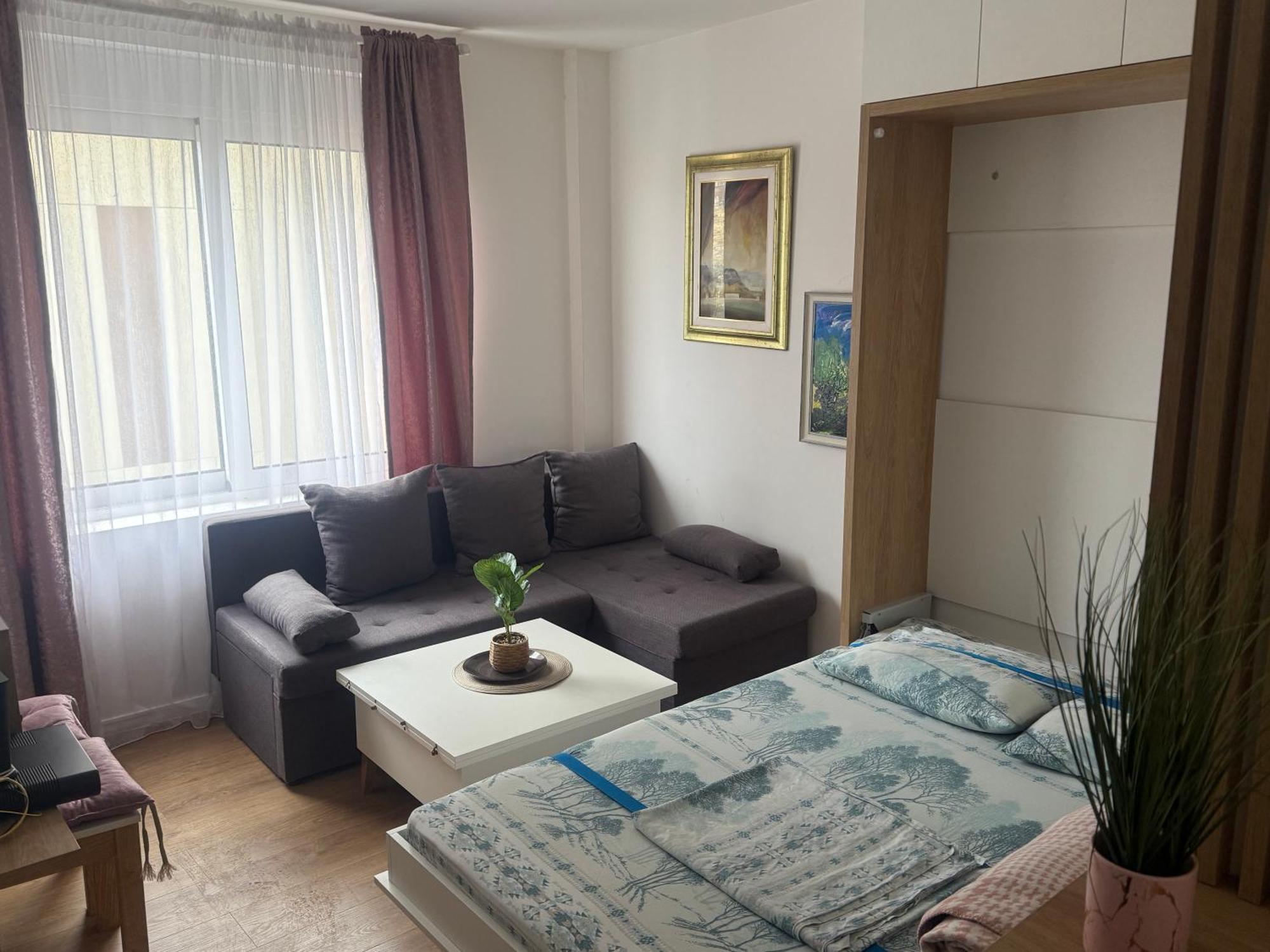 פודגוריצה Apartment Centar מראה חיצוני תמונה